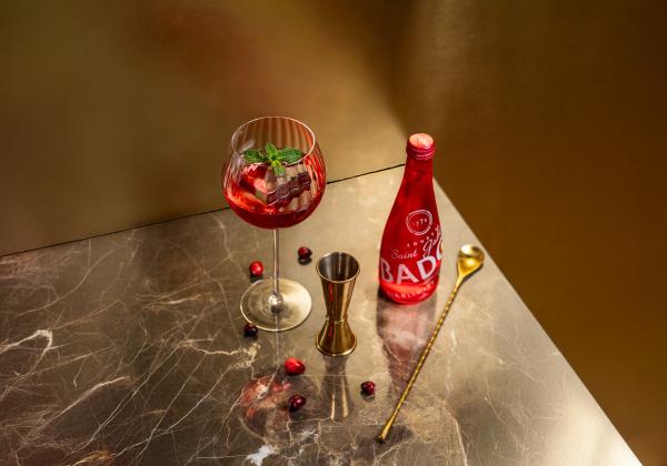 Sortir &agrave; BORDEAUX(Gironde). BORDEAUX.