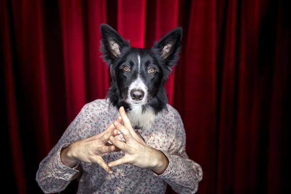 Sortir &agrave; PONTIVY(Morbihan). PONTIVY.