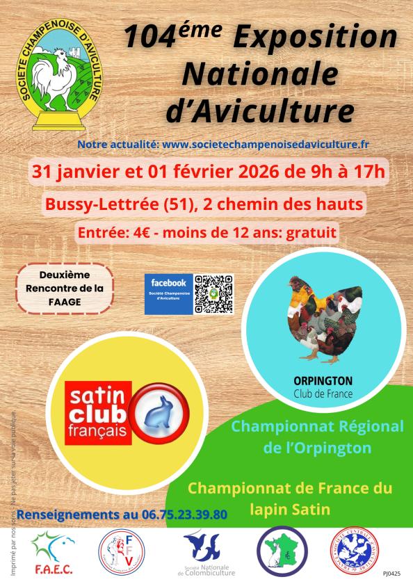 Sortir &agrave; BUSSY LETTREE(Marne). BUSSY LETTREE.