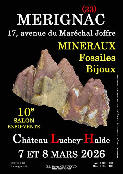 sortie à MERIGNAC, Gironde. 10E SALON MINERAUX FOSSILES BIJOUX Sortir à MERIGNAC(Gironde). MERIGNAC.