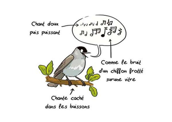 Sortir &agrave; GUINGAMP(C&ocirc;tes d'Armor). GUINGAMP.