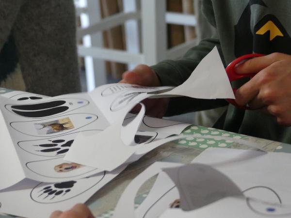 Sortir &agrave; BRAUD ET ST LOUIS(Gironde). BRAUD ET ST LOUIS.