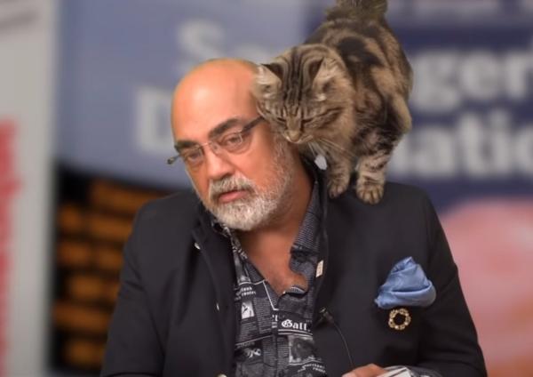 Sortir &agrave; VIERZON(Cher). VIERZON.