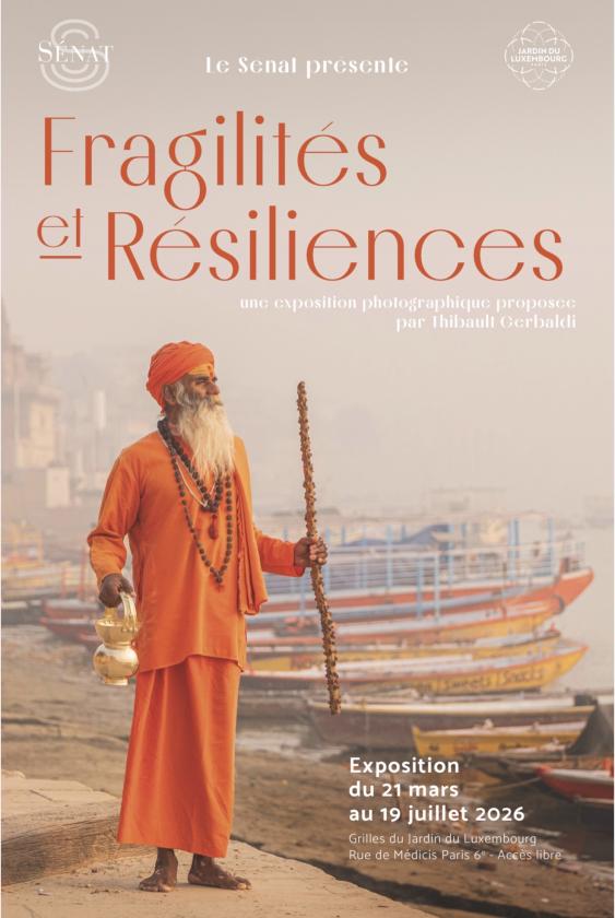 sortie à PARIS, Paris. FRAGILITÉS & RÉSILIENCES — THIBAULT GERBALDI Sortir à PARIS(Paris). PARIS.