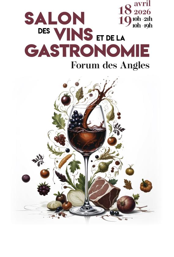 Sortir &agrave; VILLENEUVE LES AVIGNON(Gard). VILLENEUVE LES AVIGNON.