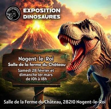 Sortir &agrave; NOGENT LE ROI(Eure et Loir). NOGENT LE ROI.