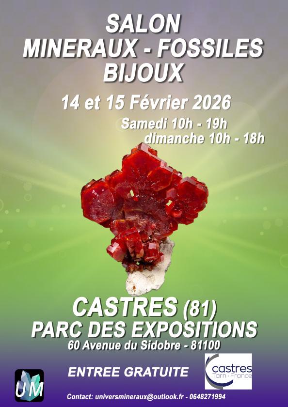 Sortir &agrave; CASTRES(Tarn). CASTRES.