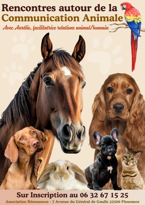 Sortir &agrave; FLEURANCE(Gers). FLEURANCE.