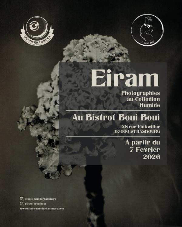 Sortir &agrave; STRASBOURG(Bas Rhin). STRASBOURG.