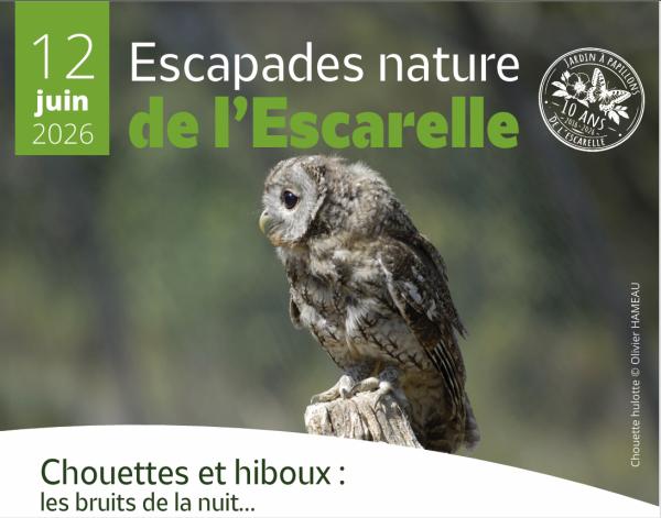 Sortir &agrave; LA CELLE(Var). LA CELLE.