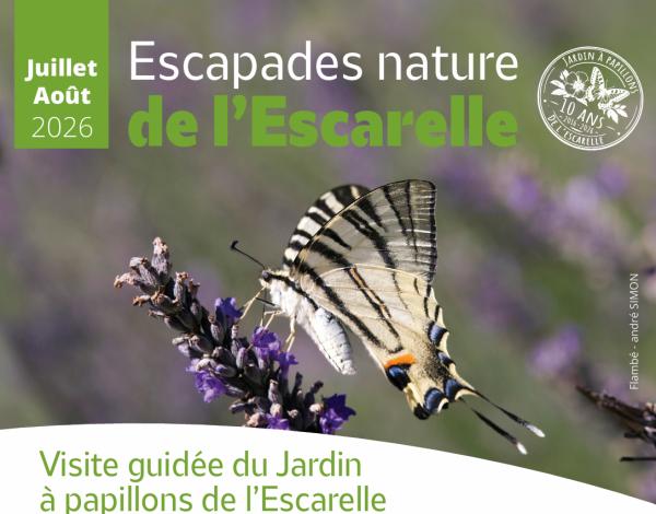 Sortir &agrave; LA CELLE(Var). LA CELLE.