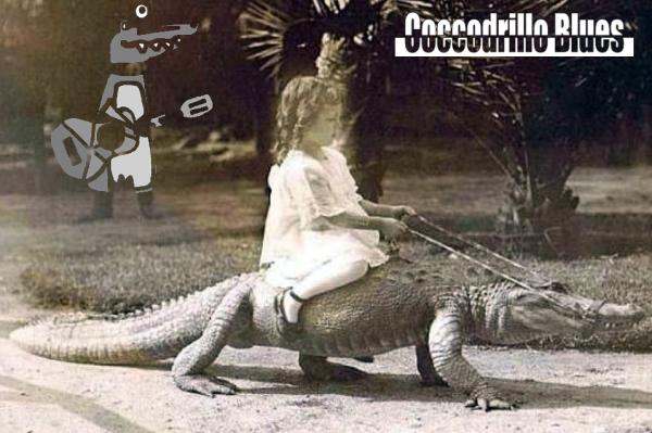 sortie à MONTPELLIER, Hérault. COCCODRILLO BLUES EN CONCERT AU GAZETTE CAFÉ Sortir à MONTPELLIER(Hérault). MONTPELLIER.