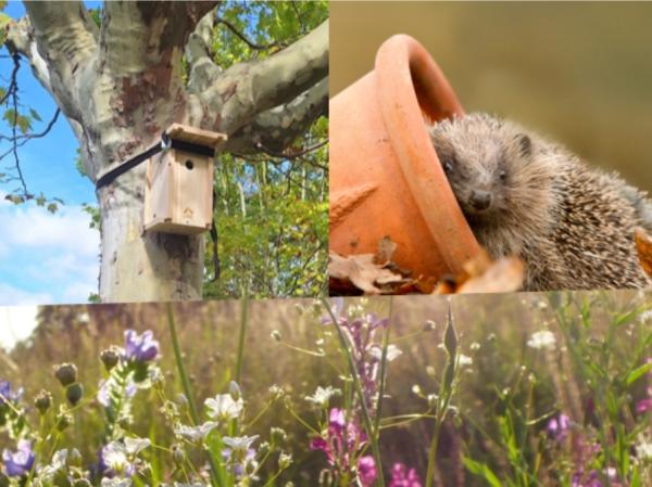Sortir &agrave; LA GARDE(Var). LA GARDE.