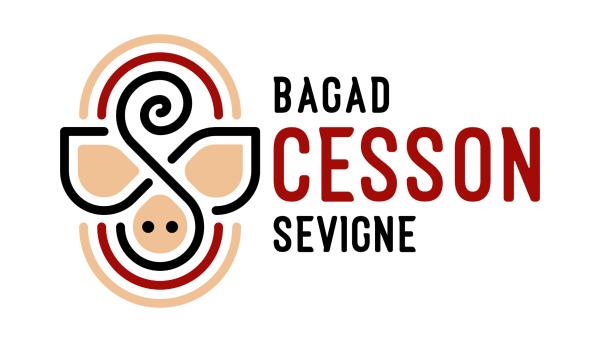 Sortir &agrave; CESSON SEVIGNE(Ille et Vilaine). CESSON SEVIGNE.