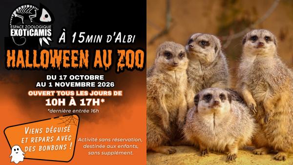 Sortir &agrave; FAUCH(Tarn). FAUCH.