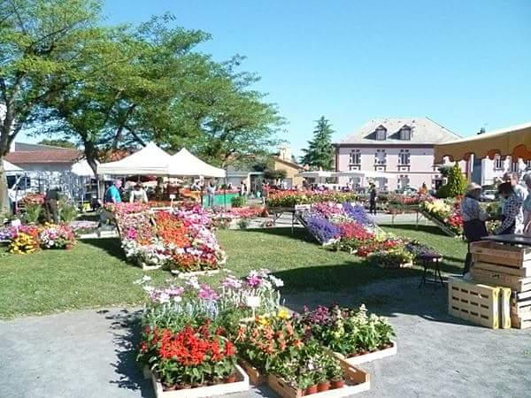 sortie à BORDERES SUR L ECHEZ, Hautes Pyrénées. LES FLORALIES BORDERAISES Sortir à BORDERES SUR L ECHEZ(Hautes Pyrénées). BORDERES SUR L ECHEZ.