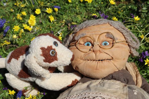 sortie à GRAVELINES, Nord. JEF 2026 : OUAF ! OUAF ! Sortir à GRAVELINES(Nord). GRAVELINES.