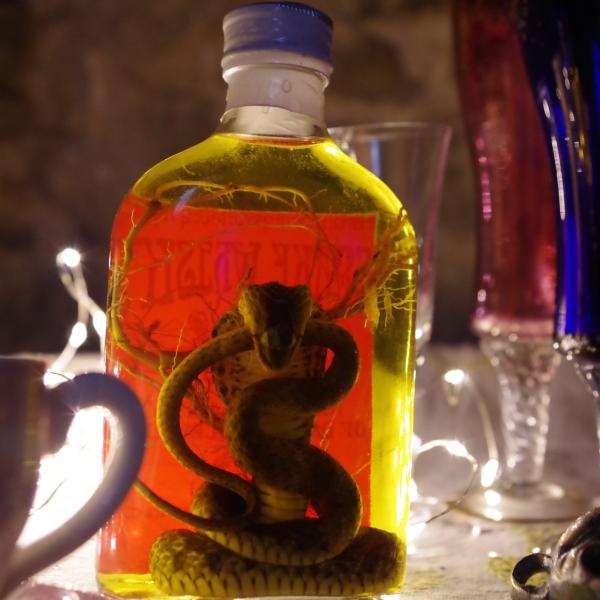 Sortir &agrave; ST ANDRE SUR SEVRE(Deux S&egrave;vres). ST ANDRE SUR SEVRE.