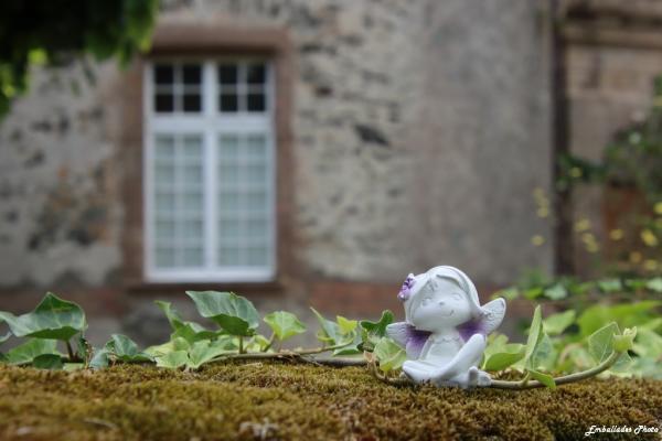 Sortir &agrave; BEAUPREAU(Maine et Loire). BEAUPREAU.