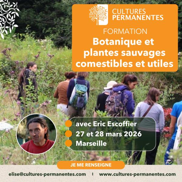 Sortir &agrave; MARSEILLE(Bouches du Rh&ocirc;ne). MARSEILLE.