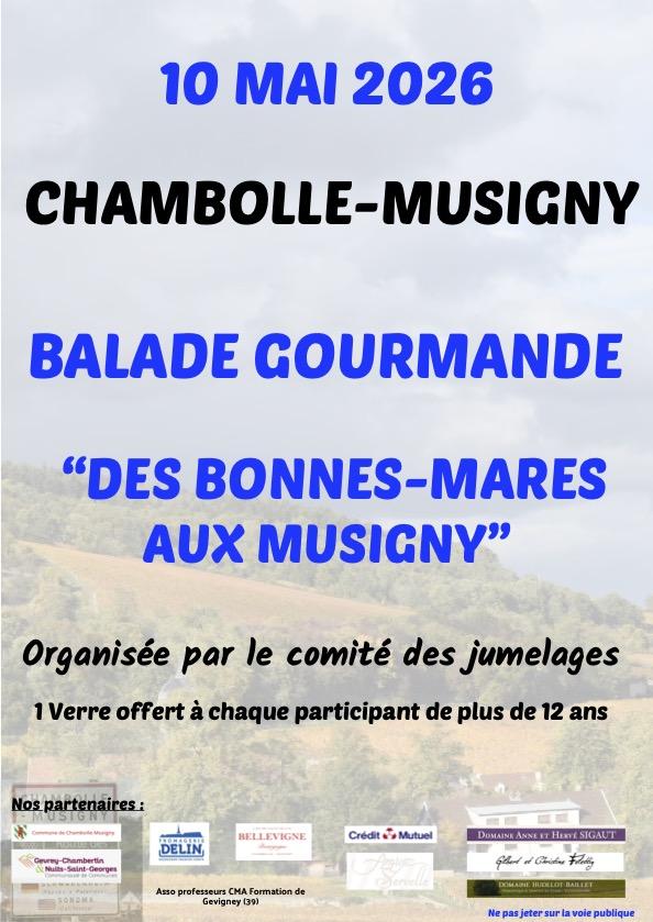 Sortir &agrave; CHAMBOLLE MUSIGNY(C&ocirc;te d'Or). CHAMBOLLE MUSIGNY.