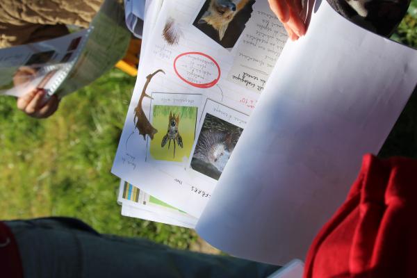 Sortir &agrave; BRAUD ET ST LOUIS(Gironde). BRAUD ET ST LOUIS.