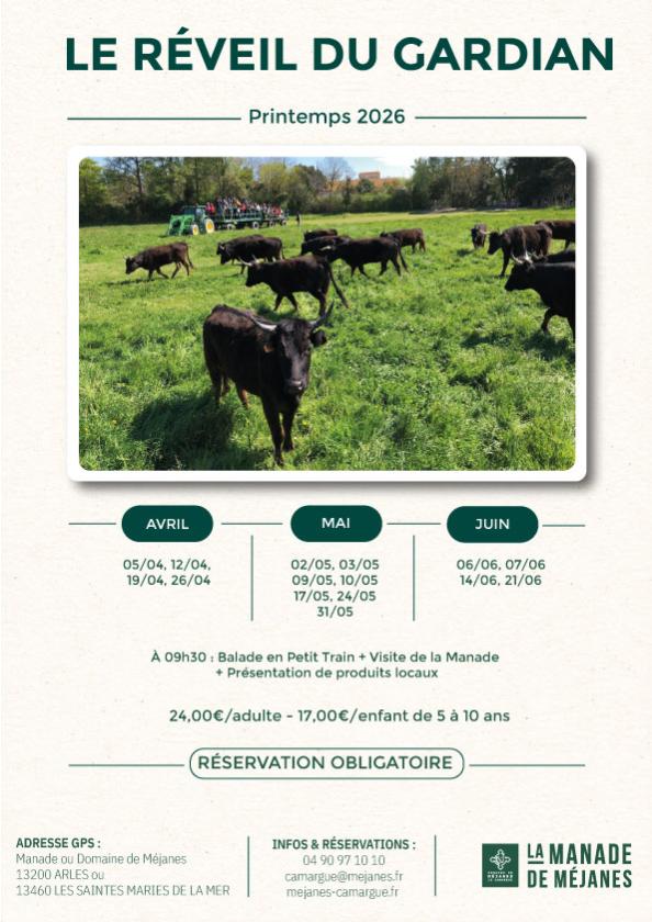 Sortir &agrave; ARLES(Bouches du Rh&ocirc;ne). ARLES.