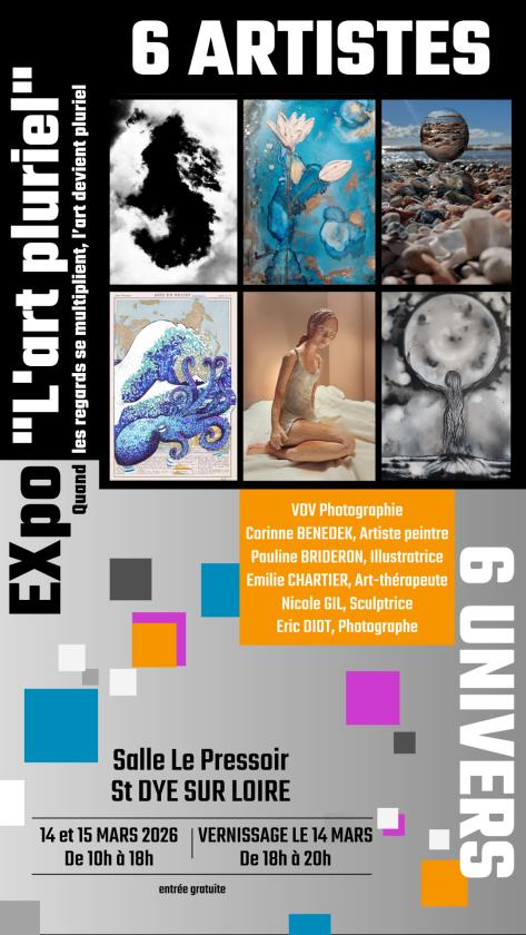 sortie à ST DYE SUR LOIRE, Loir et Cher. L'ART PLURIEL Sortir à ST DYE SUR LOIRE(Loir et Cher). ST DYE SUR LOIRE.