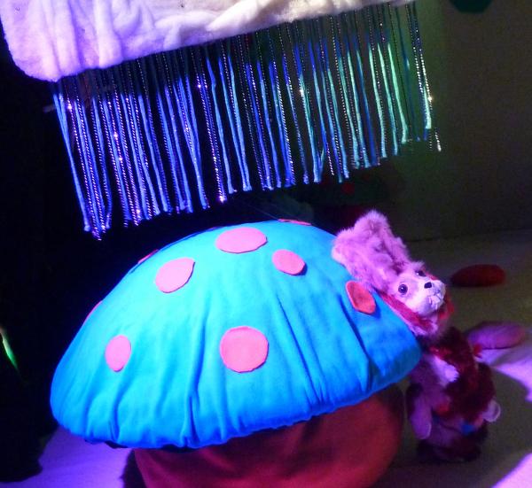 Sortir &agrave; TOULOUSE(Haute Garonne). TOULOUSE.