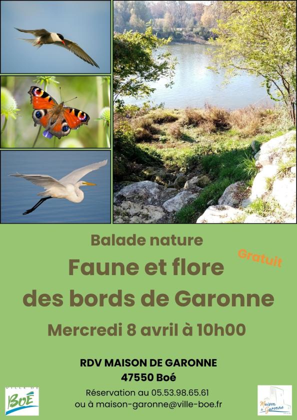 sortie à BOE, Lot et Garonne. BALADE FAUNE ET FLORE DES BORDS DE GARONNE Sortir à BOE(Lot et Garonne). BOE.