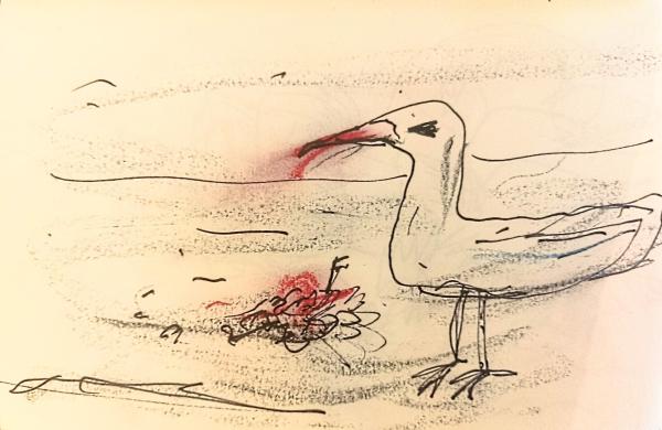 Sortir &agrave; MONTPELLIER(H&eacute;rault). MONTPELLIER.