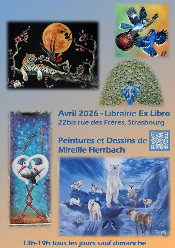 Sortir &agrave; STRASBOURG(Bas Rhin). STRASBOURG.