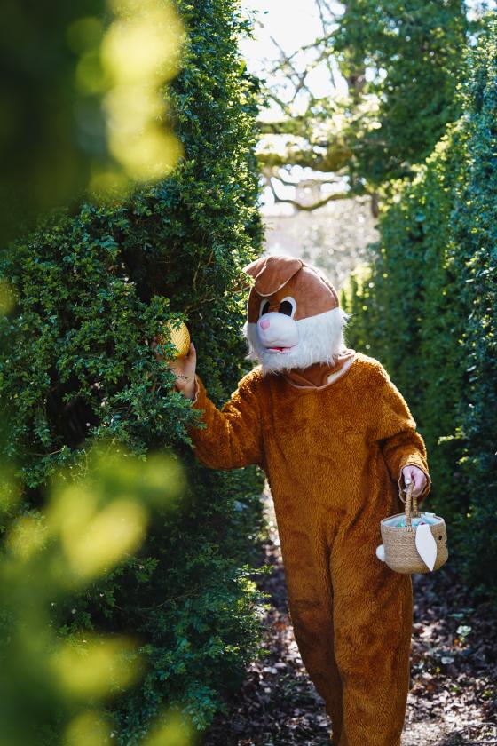 Sortir &agrave; MERVILLE(Haute Garonne). MERVILLE.