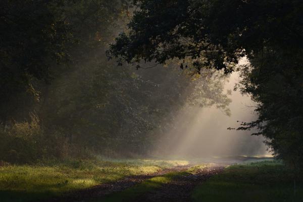Sortir &agrave; MONTSOREAU(Maine et Loire). MONTSOREAU.
