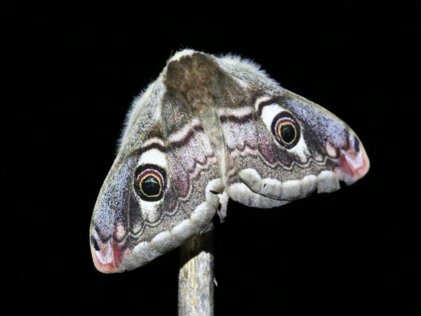 Sortir &agrave; DRAGUIGNAN(Var). DRAGUIGNAN.