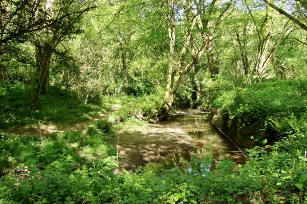 Sortir &agrave; LA JUMELLIERE(Maine et Loire). LA JUMELLIERE.