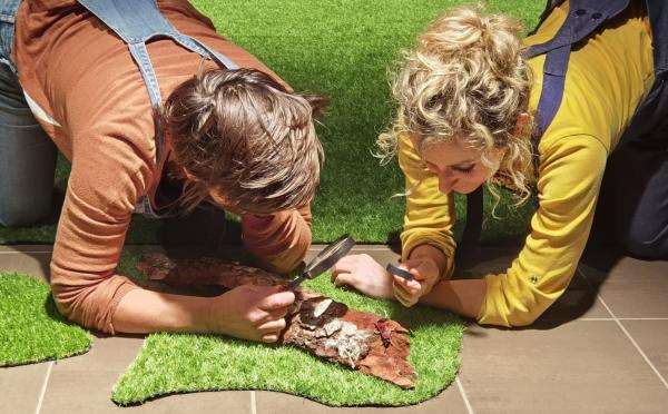 Sortir &agrave; ST DONAT SUR L HERBASSE(Dr&ocirc;me). ST DONAT SUR L HERBASSE.