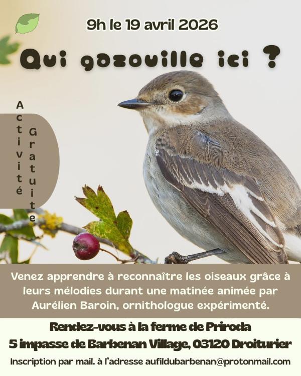 sortie à DROITURIER, Allier. QUI GAZOUILLE ICI ? Sortir à DROITURIER(Allier). DROITURIER.