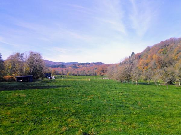 Sortir &agrave; SENTHEIM(Haut Rhin). SENTHEIM.