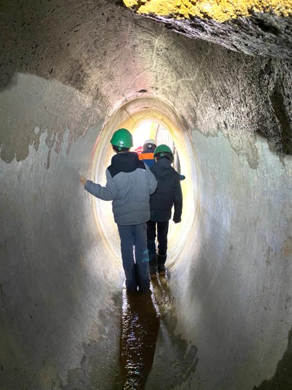 Sortir &agrave; SENTHEIM(Haut Rhin). SENTHEIM.