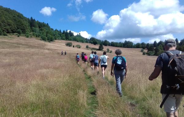 Sortir &agrave; SENTHEIM(Haut Rhin). SENTHEIM.