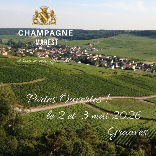 Sortir &agrave; GRAUVES(Marne). GRAUVES.