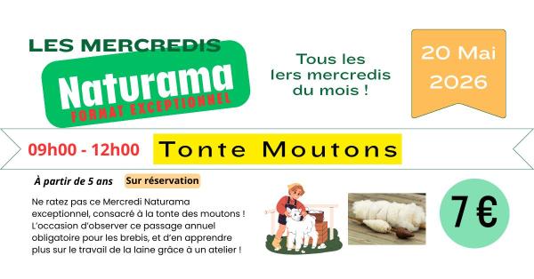 Sortir &agrave; ST CYR SUR LE RHONE(Rh&ocirc;ne). ST CYR SUR LE RHONE.