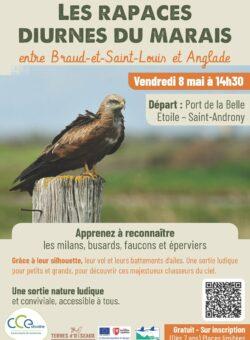 Sortir &agrave; ST ANDRONY(Gironde). ST ANDRONY.