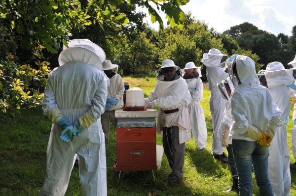 sortie à CHAUSSY, Val d'oise. DÉCOUVERTE DE L’APICULTURE Sortir à CHAUSSY(Val d'oise). CHAUSSY.