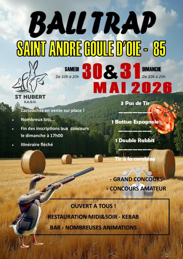Sortir &agrave; ST ANDRE GOULE D OIE(Vend&eacute;e). ST ANDRE GOULE D OIE.