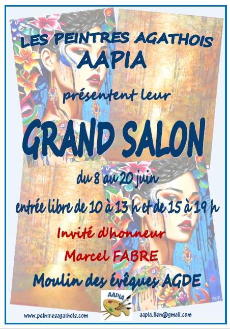 sortie à AGDE, Hérault. GRAND SALON DE L'AAPIA Sortir à AGDE(Hérault). AGDE.