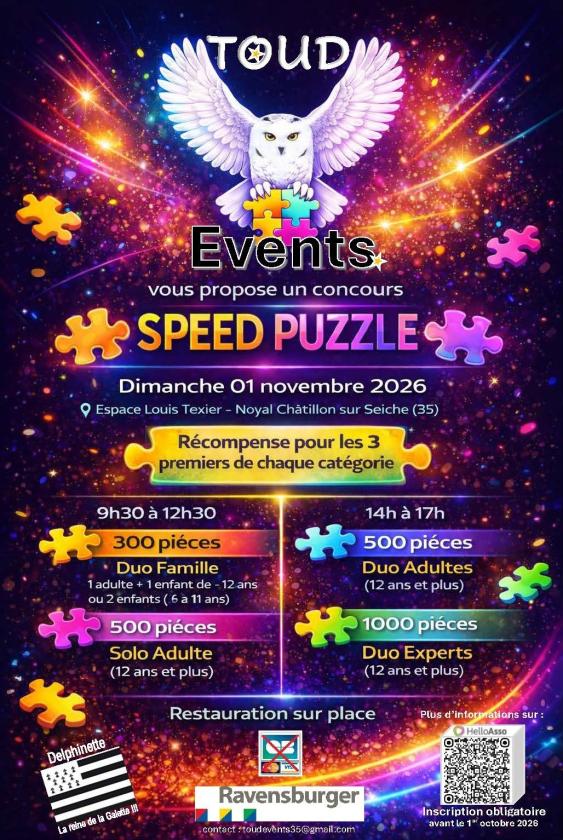 sortie à NOYAL CHATILLON SUR SEICHE, Ille et Vilaine. CONCOURS SPEED PUZZLE Sortir à NOYAL CHATILLON SUR SEICHE(Ille et Vilaine). NOYAL CHATILLON SUR SEICHE.
