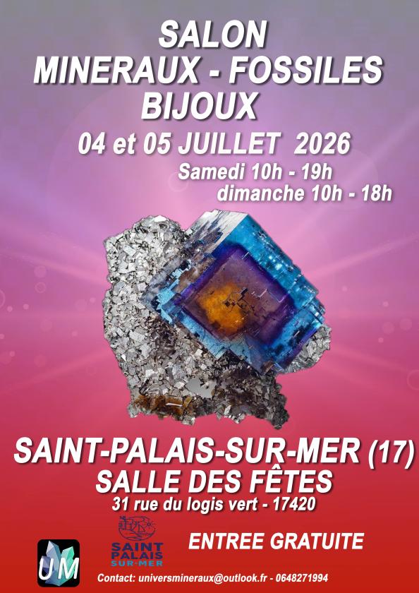 sortie à ST PALAIS SUR MER, Charente Maritime. SALON MINÉRAUX, FOSSILES, BIJOUX DE CRÉATEUR. Sortir à ST PALAIS SUR MER(Charente Maritime). ST PALAIS SUR MER.
