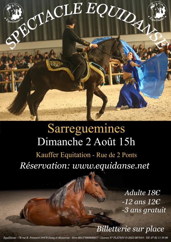 sortie à SARREGUEMINES, Moselle. SPECTACLE EQUIDANSE Sortir à SARREGUEMINES(Moselle). SARREGUEMINES.